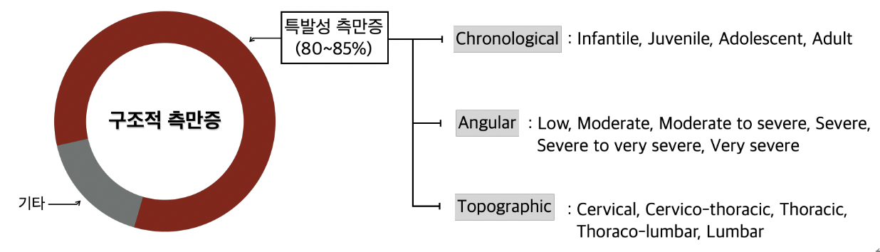 구조적측만증의 분류